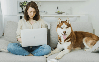 Szkolenie indywidualne, grupowe czy on-line – jakie zajęcia z handlingu wybrać?